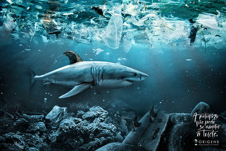 Tubarão, na campanha Adaptação, da Avalanche para Origens