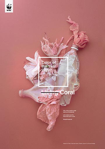 White Rabbit para WWF: Color of the Year 2020