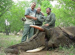 Fenêtre Publicitaire, par Fabio Seidl - A Janela em Cannes ...