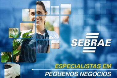 Sebrae, especialistas em pequenos negócios