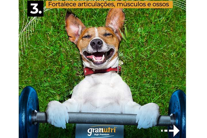 Take4Content para Granfino