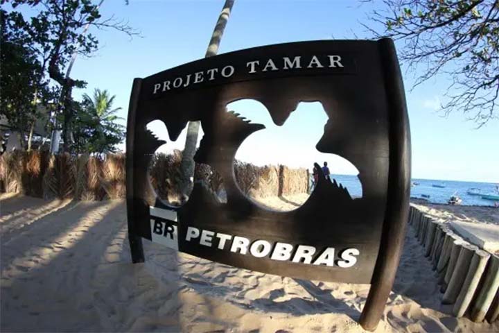 Projeto Tamar - Petrobras
